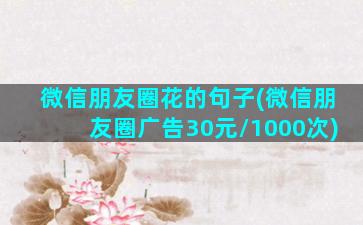 微信朋友圈花的句子(微信朋友圈广告30元\/1000次)